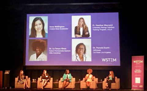 WiSTEM launch